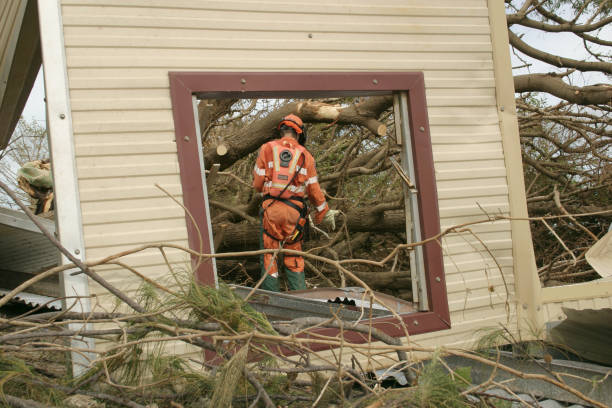  Millvale, PA Tree Care Services Pros